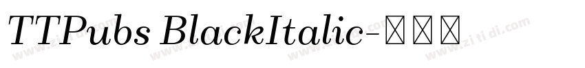 TTPubs BlackItalic字体转换